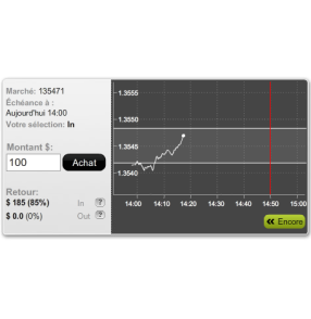 Example of a binary option Field